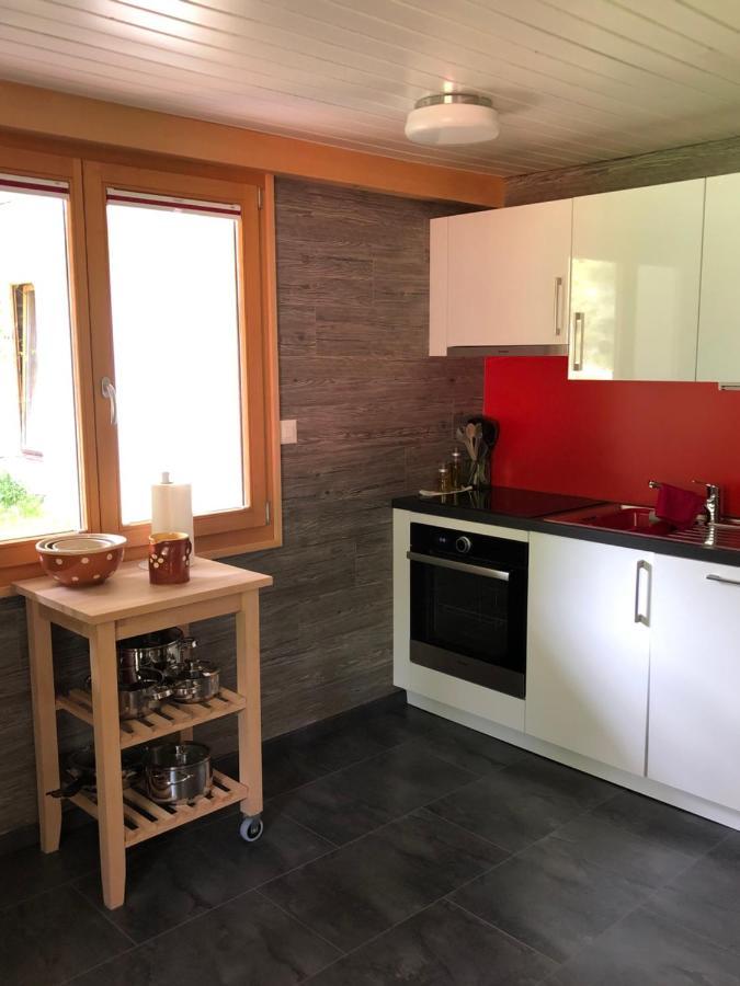 Chalet Le Knou تشامبري المظهر الخارجي الصورة